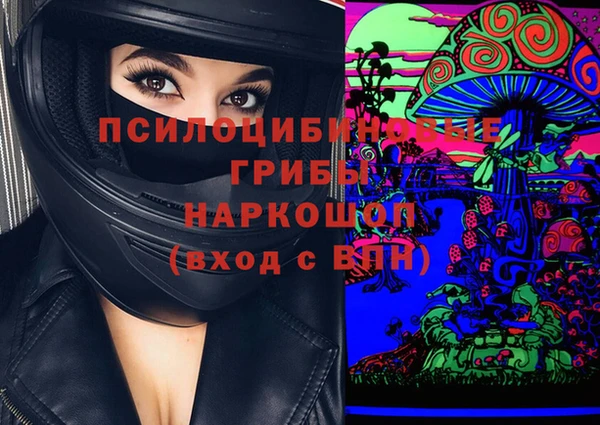 ПСИЛОЦИБИНОВЫЕ ГРИБЫ Верея