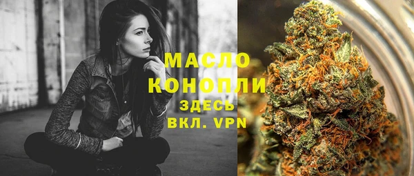 молекула духа Надым