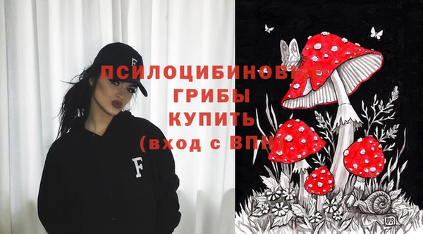 молекула духа Надым
