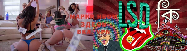 молекула духа Надым
