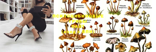 дмт Наволоки