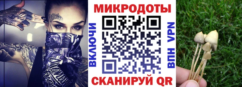 mega tor  Полысаево  Псилоцибиновые грибы мухоморы  где купить наркоту 