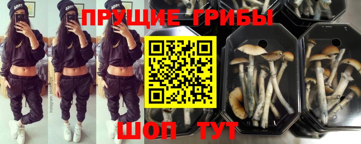 Полысаево  Галлюциногенные грибы мицелий  Вход с VPN 